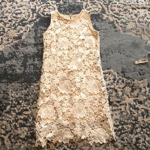 Dress Barn sheath dress with cream overlay